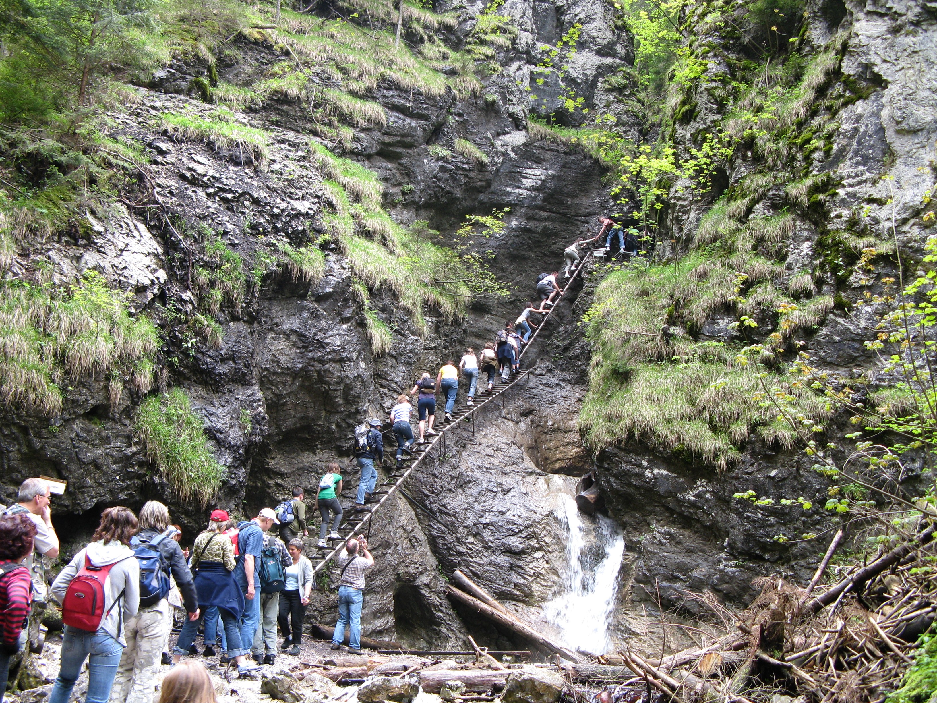 Suchá Belá gorge in Slovenský raj, ladders and a stream in the limestone